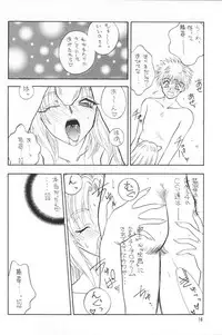 (C57) [Team Plus-Y] Plus-Y 25 Kemomi mitsu kusu