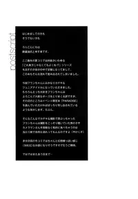 (C90) [Sujoyu & Co. (Sujoyushi)] Kageki-kei JS Idol Flan-chan!! (Touhou Project) [Chinese] [CE家族社]