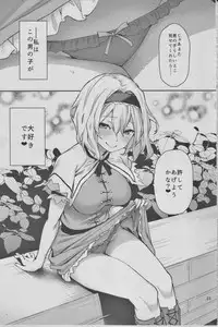 (C91) [Anmitsuyomogitei (Michiking)] Karakai Jouzu no Alice-san! (Touhou Project)