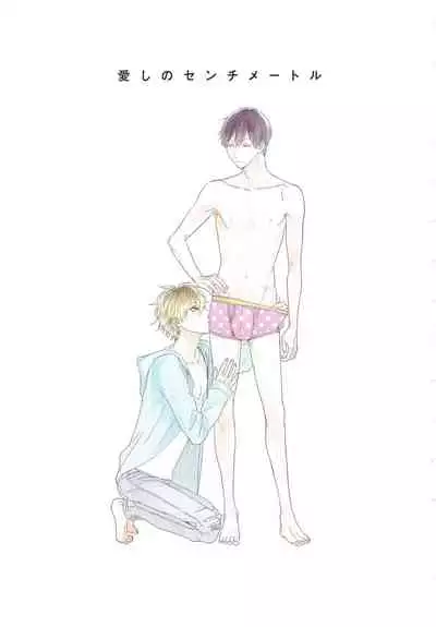 Itoshi no Centimeter | 爱情的长度
