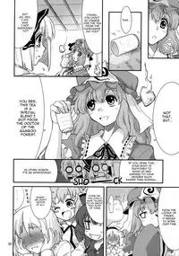 (C77) [Fujiiro Sabou (Fujii Jun)] THE SUN AND THE MOON (Touhou Project) [English] [U MAD]