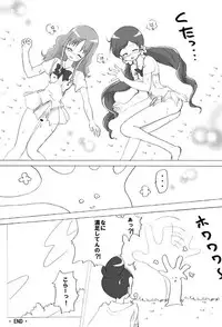 (C78) [Kurukurumaru (Kurumaru)] Watashi Tachitte H Desu? (HeartCatch PreCure!)