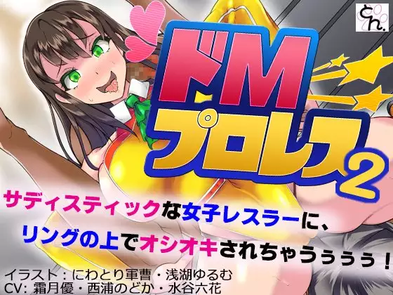 ドMプロレス2 画像集
