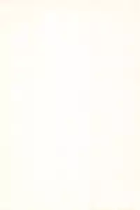 (C64) [Aniki Teikoku (Fey Tas)] L-TYPE (Super Doll Licca-chan)