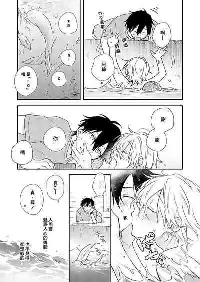 Shiokaze Mellow | 海风轻柔