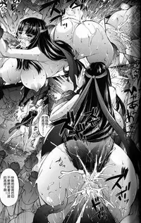 (C84) [Molotov Cocktail (Oowada Tomari)] Blade Blade V (Queen's Blade) [Chinese] [上校个人汉化]