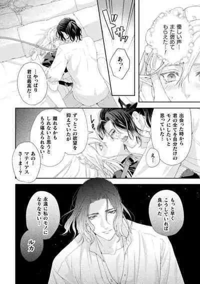 Shuujin wa Hiroware Elf o Midareotoshitai