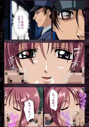 Saishuu Chikan Densha kanzenhan