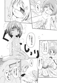 (C61) [Laurier (Kurosaki Mairi)] Petit Chou (Figure 17)