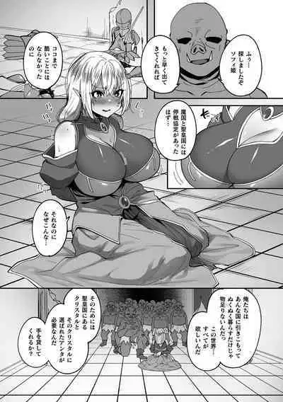 Kukkoro Heroines Vol. 37