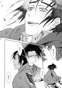 (C90) [RIX (Mamiya)] Ten ni Habataita Sono Ato mo (Shingeki no Kyojin)