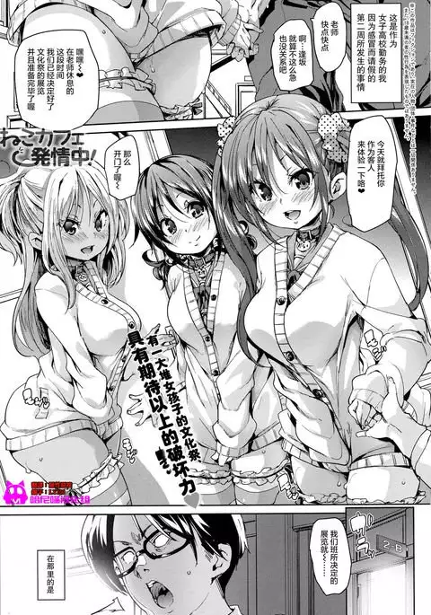 Neko Cafe Hatsujou Chuu! | 猫咪咖啡发情中