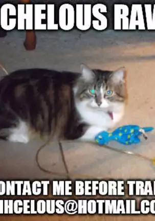 RANDLINE CRUISE 2018) Senchou no Iu Toori