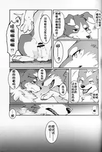 (Kansai! Kemoket 5) [D-Point! (Diga Tsukune)] Yume Utsutsu Lovage | 梦&醒 Ravage [Chinese] [虾皮汉化组]