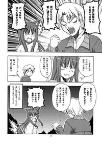 [Circle Credit (Benjamin, Akikan, Muichimon, NAL)] Ookami to Mimi to Shippo (Spice and Wolf)