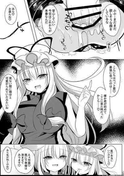 Yakumo Ran ni Yoru Seidorei Choukyou Ichiji no Tawamure