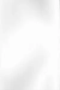 (C93) [Metaneko (Aotsu Umihito)] Trial of Alola (Pokémon)