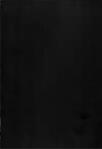 (C79) [Akusei-Shinseibutsu (Nori)] Bungaku Shoujo Gahou (Pokemon)