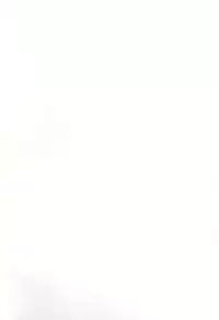 (C88) [MünchenGraph (Kita Kaduki)] I only meant to stay awhile. (Go! Princess PreCure)