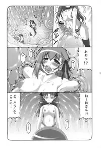 (C83) [Abarenbow Tengu (Izumi Yuujiro)] Kotori 1～8 (Fate/stay night)