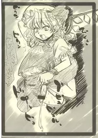 (SC28) [Toutaku Engadou (Kaoru Suguru)] touhou sou nama jijou kai (Touhou Project)