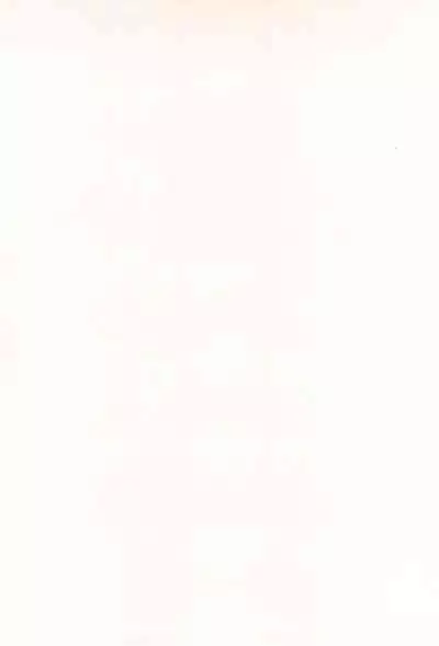 (C90) [BBB-Extra (Chuushin Kuranosuke)] WHITE MABO PANIC! (Fate/kaleid liner Prisma Illya)