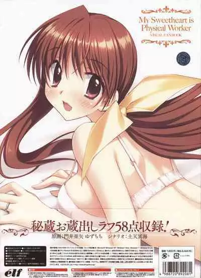 My Sweetheart is Physical Worker VISUAL FAN BOOK