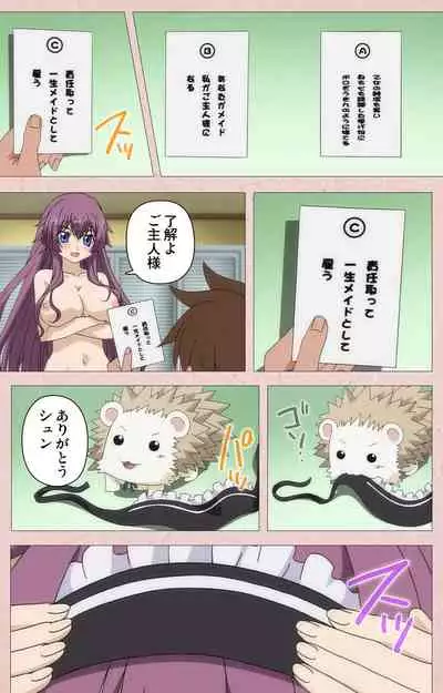 Tsun Tsun Maid wa Ero Ero Desu complete ban