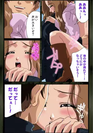 Saishuu Chikan Densha kanzenhan