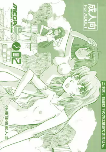 (C77) [Okinawa Taieki Gunjinkai (Yasunaga Kouichirou)] Mega × Dora! 02 (Toradora!)