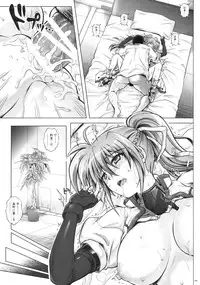 (C90) [Cyclone (Izumi, Reizei)] 1005NANO Cyclone no Soushuuhen (Mahou Shoujo Lyrical Nanoha)