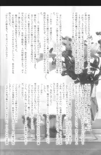 emperor bitch (Code Geass)