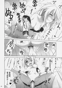 (COMIC1☆5) [47sp, SSB (Takashina@Masato, Maririn)] ichica to (IS <Infinite Stratos>)
