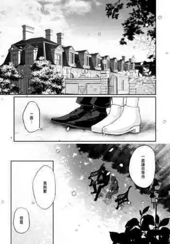 園花の婦新絡 3 [CHINESE]