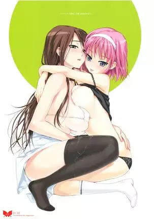 八宝備仁画集 紅蝶（ほてり）