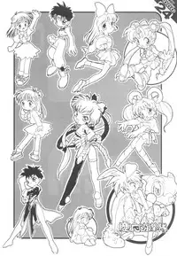 (C49) [Z-Vector(Various)] (0.0.0)(0.0.1) (Various)