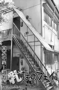 (C74) [STUDIO HUAN (Raidon)] Chichi NanoFei. Manatsu no Rojou Choukyou Hen (Mahou Shoujo Lyrical Nanoha)