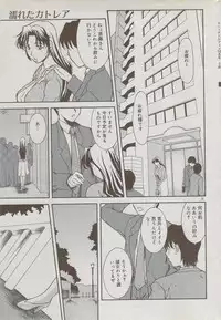 COMIC DOLPHIN 2006-10