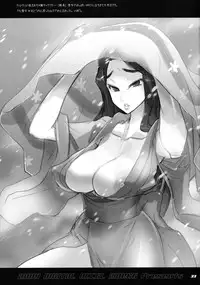 (C76) [Digital Accel Works (INAZUMA.)] INAZUMA SPECTER + Limited Book (Oboro Muramasa)