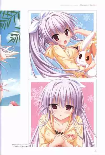 Hatsuyuki Sakura Visual Fanbook