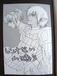 (C69) [Queen Of VANILLA (Tigusa Suzume)] Ikenai Konamaiki (Final Fantasy XI)