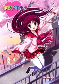 (SC27) [Gourmet Poppo (Dr.Momo)] Tama no Kimochi (ToHeart 2)