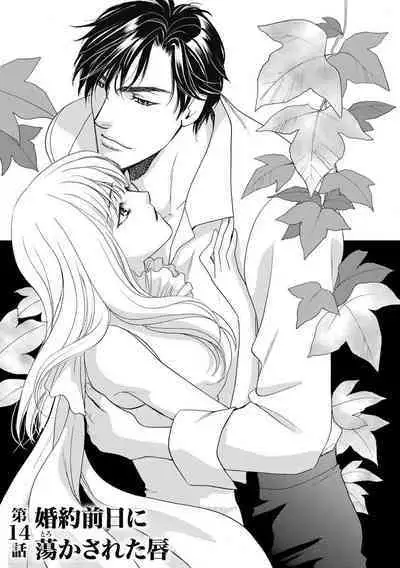 [Omi Shinano] Imouto Mekake ~Onii-sama, Mou Yurushite~ 3 [Digital]