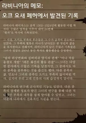 Sage Lavinia's Last Note ~ In the ruin of orc fort ~