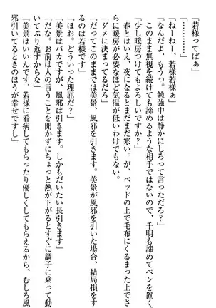 年上メイドの新婚日記