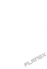 (C92) [Kedama Gyuunyuu (Tamano Kedama)] FLANEX (Touhou Project) [Chinese] [CE家族社]