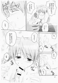 (C72) [inspi. (Subaru, Izumi Rin)] Shinseiki Enyangelion (Neon Genesis Evangelion) [Digital]