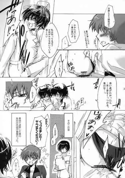 Lelouch Nyotaika & Josou Anthology