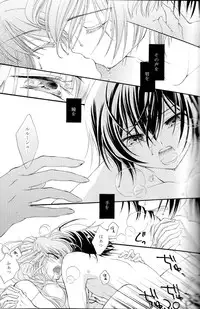 [APRICOT TEA] The last love letter presented to my dear only partner. (Code Geass)