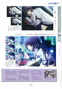 LOVELY CATION 1&2 VISUAL FAN BOOK